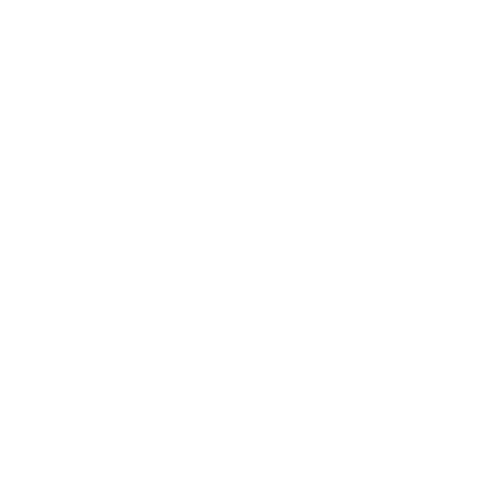 Almost Famous Logo